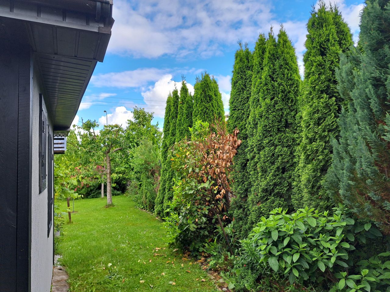 Działka rod Rumia Lotnisko, ul. Kosynierów. Zdjęcie 31