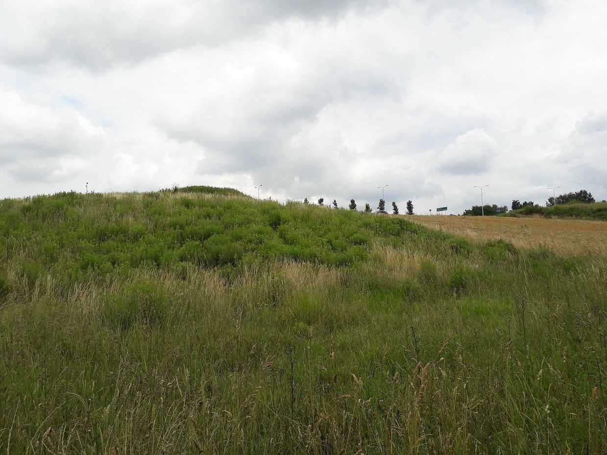 Działka rolna Jakubowice Konińskie. Zdjęcie 8