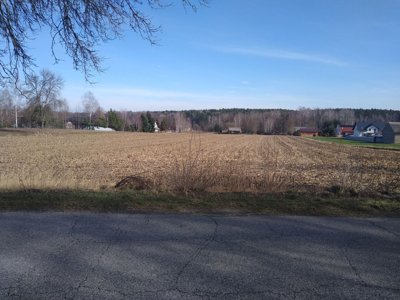 Działka budowlana Koziołki. Zdjęcie 4