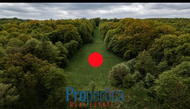 Działka budowlana Kazimierz Dolny, ul. Kwaskowa Góra. Zdjęcie 3