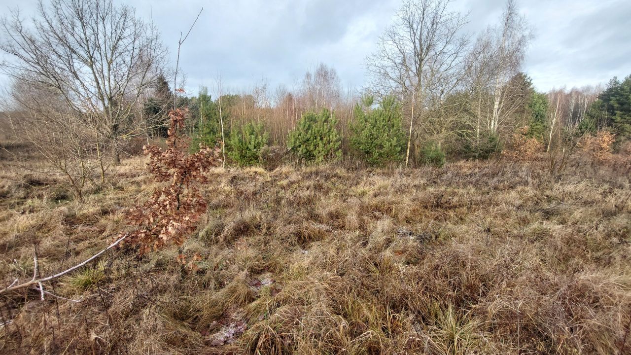 Działka budowlana Różnowo. Zdjęcie 5