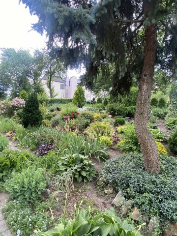 Mieszkanie 1-pokojowe Kielce Centrum, ul. Tarnowska. Zdjęcie 1