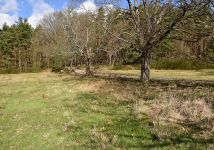 Działka budowlana Bukowa, brak. Zdjęcie 4