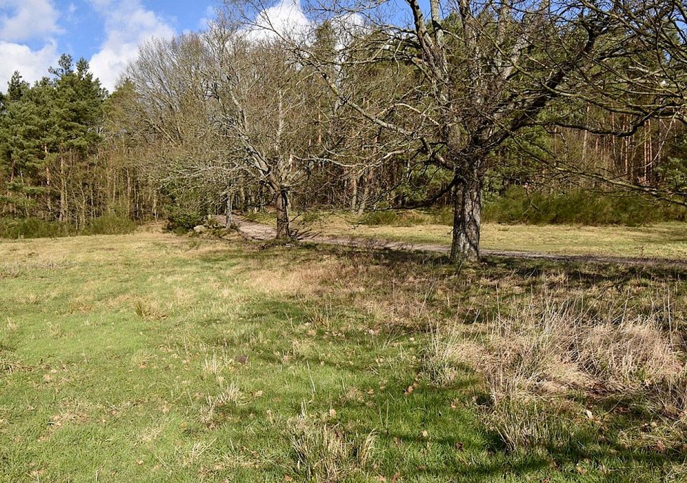 Działka budowlana Bukowa, brak. Zdjęcie 5