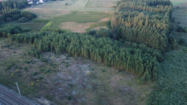 Działka rolna Żabiny. Zdjęcie 1