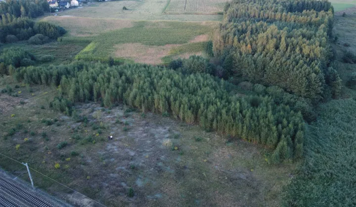 Działka rolna Żabiny