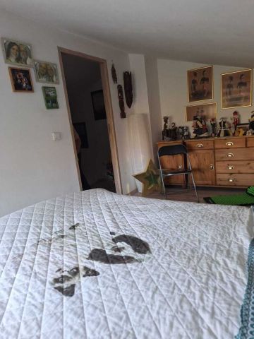 dom wolnostojący, 3 pokoje Szczecin Żelechowa. Zdjęcie 5