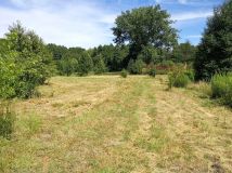 Działka rolno-budowlana Biała Rawska, ul. Topolowa. Zdjęcie 3