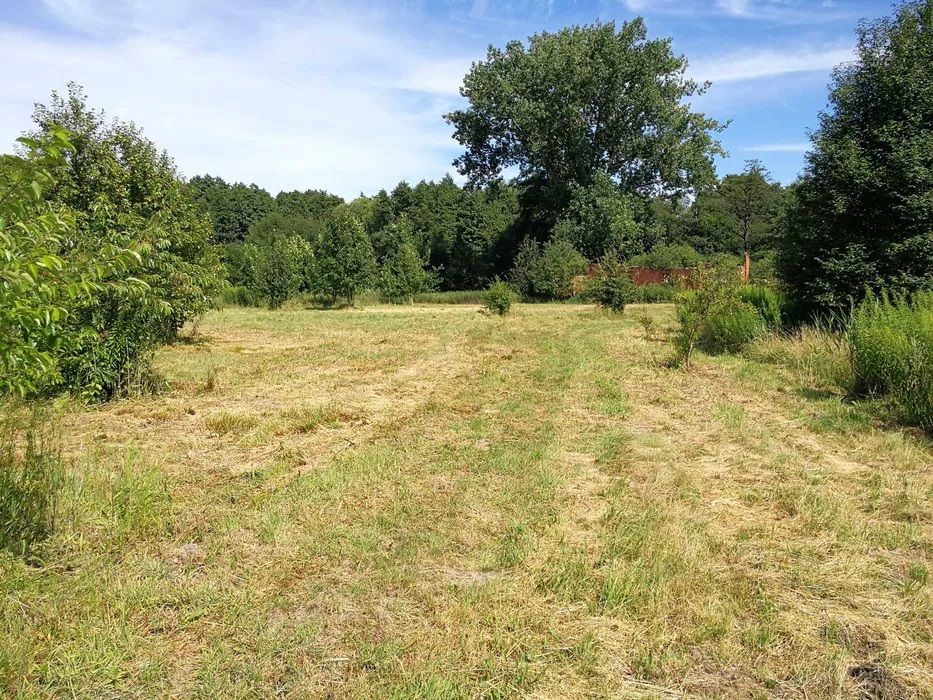 Działka rolno-budowlana Biała Rawska, ul. Topolowa. Zdjęcie 4