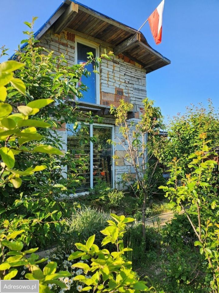 Działka rod Legnica, ul. Wielkiej Niedźwiedzicy. Zdjęcie 3