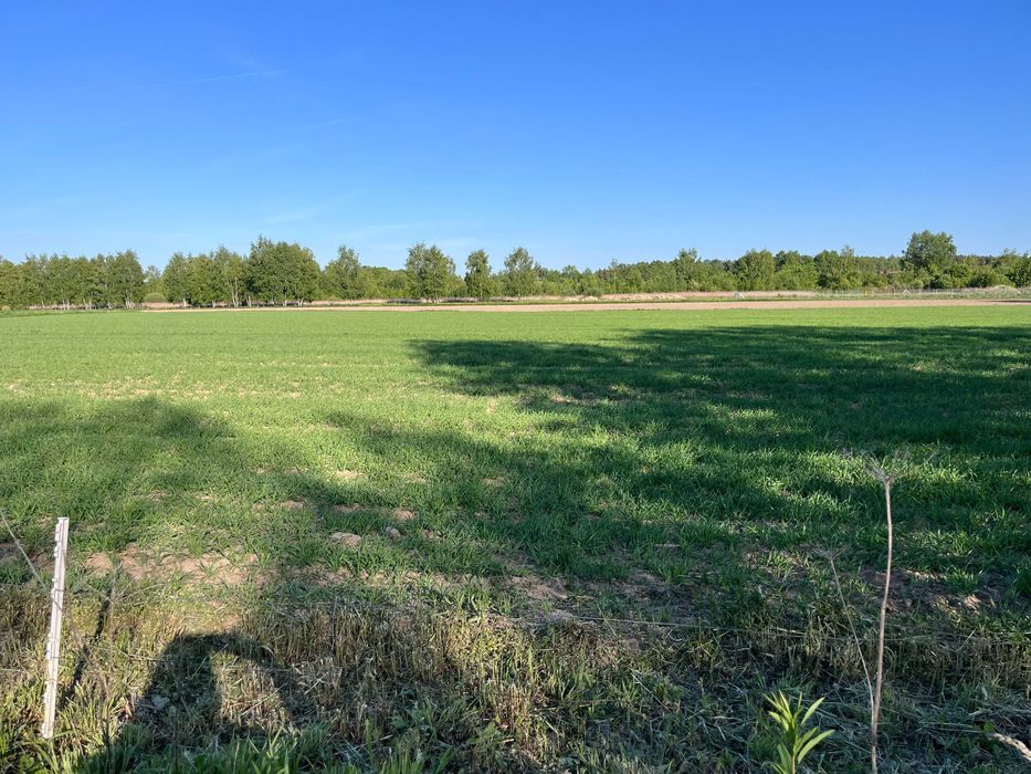 Działka budowlana Radziejowice, ul. Żurawi. Zdjęcie 1