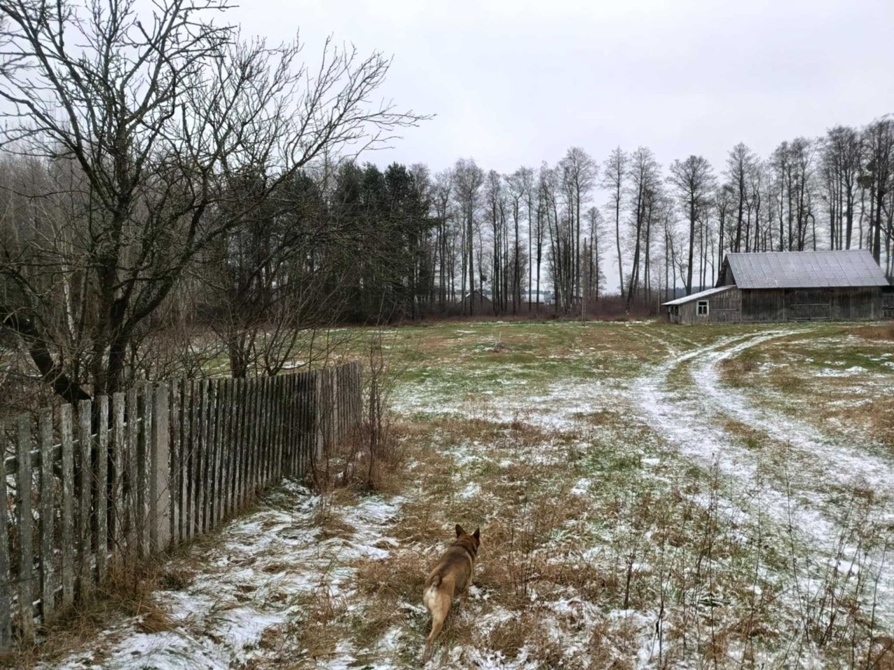 Działka siedliskowa Hanna, ul. Długa. Zdjęcie 8