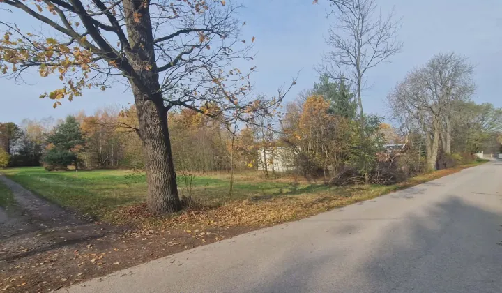 Działka budowlana Many, ul. Długa