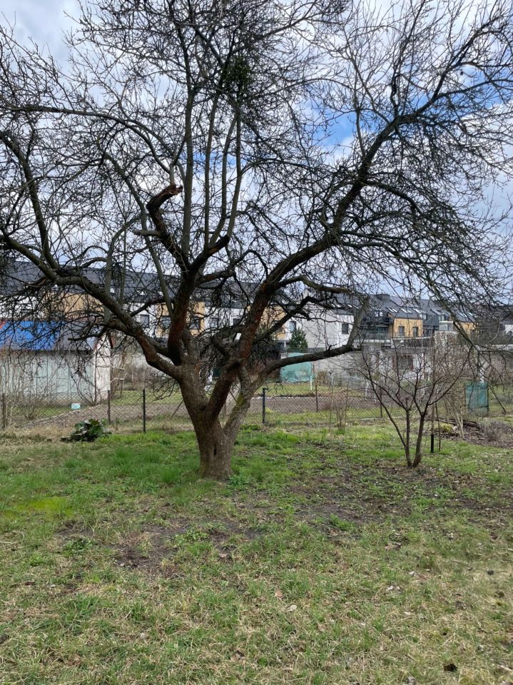 Działka rod Wrocław Krzyki. Zdjęcie 5