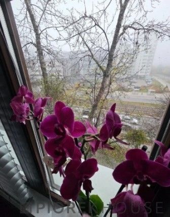 Mieszkanie 3-pokojowe Warszawa Ochota, ul. Grójecka. Zdjęcie 8