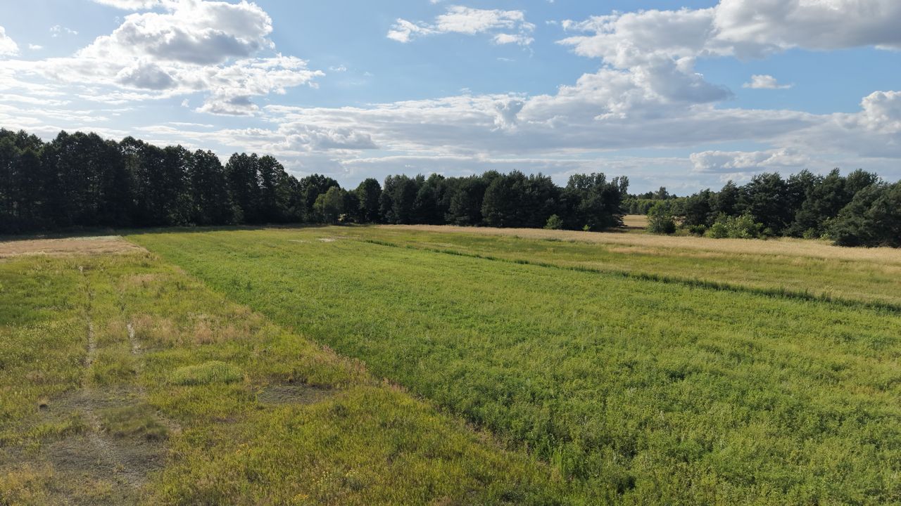 Działka budowlana Pławno, ul. Częstochowska. Zdjęcie 12