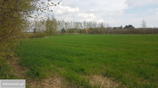 Działka rolno-budowlana Moszna. Zdjęcie 1