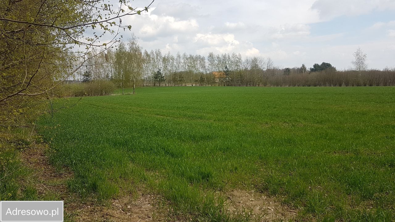 Działka rolno-budowlana Moszna