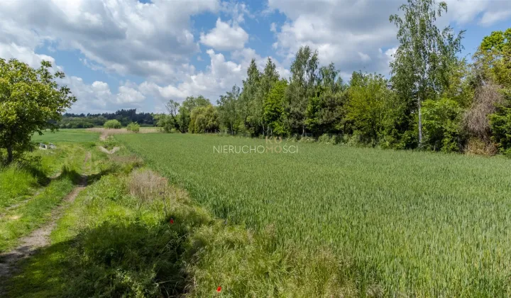 Działka rolno-budowlana Wilczyn