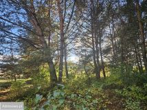 Działka budowlana Bechcice-Wieś