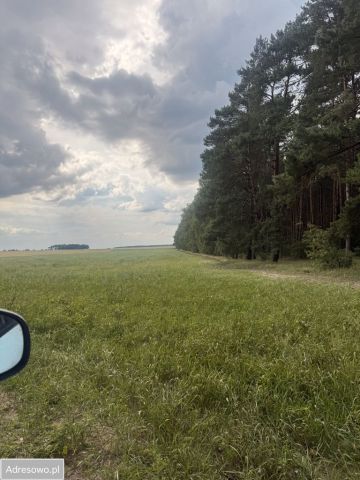 Działka budowlana Niemojewo. Zdjęcie 1