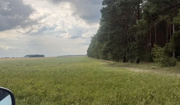 Działka budowlana Niemojewo