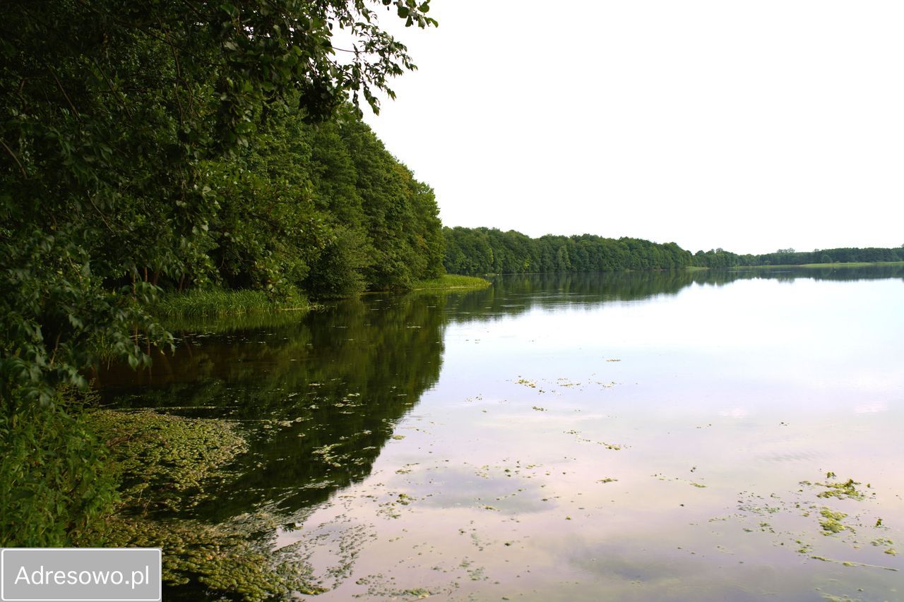 Działka rekreacyjna Wielki Podleś. Zdjęcie 11