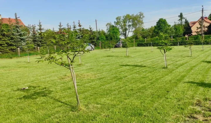 Działka budowlana Golanka Górna