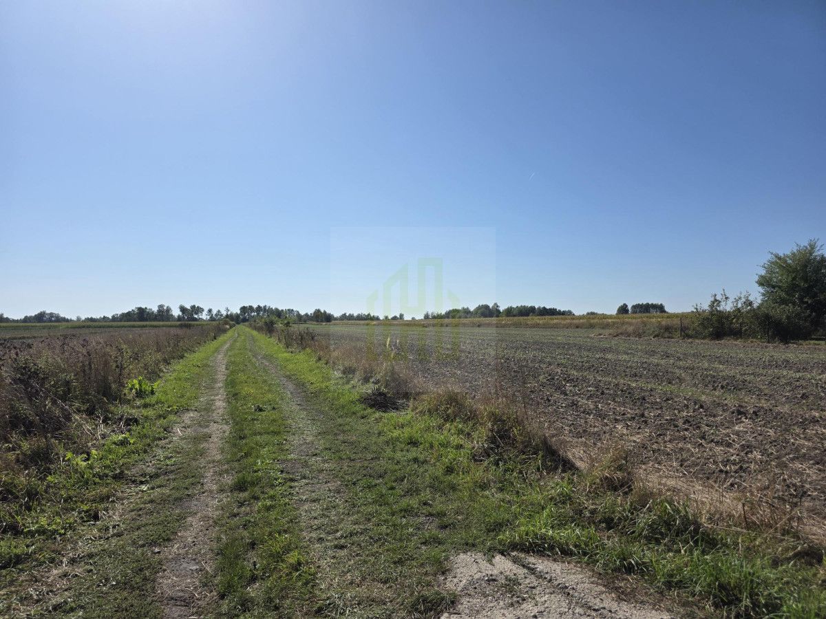 Działka budowlana Nowe Faszczyce. Zdjęcie 7