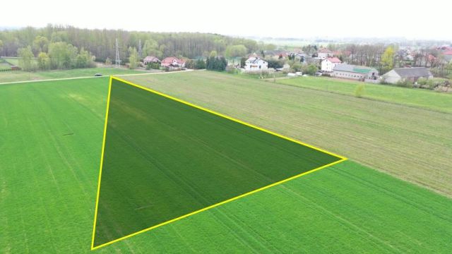 Działka budowlana Łomża, ul. Słonecznikowa. Zdjęcie 5