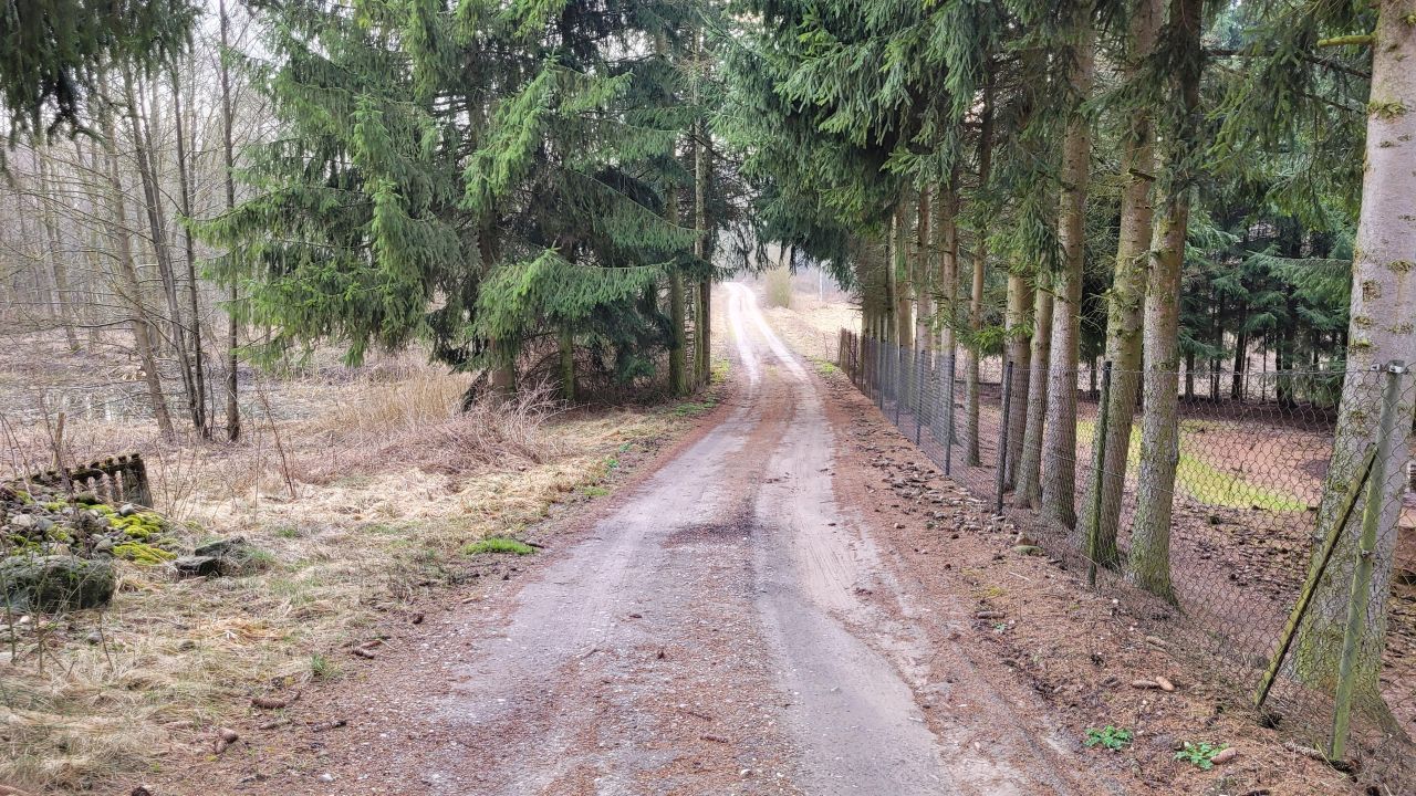 siedlisko, 4 pokoje Kazubek. Zdjęcie 8