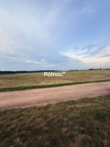 Działka rolna Krzewo. Zdjęcie 6