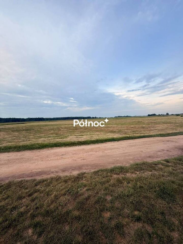 Działka rolna Krzewo. Zdjęcie 6