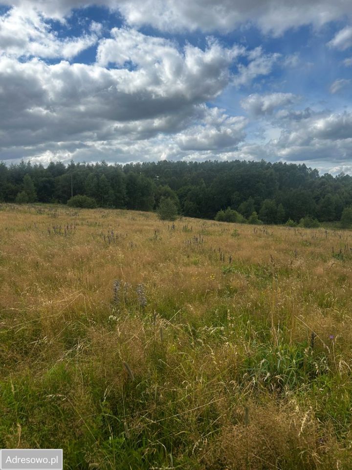 Działka budowlana Trzepowo, ul. Racibora. Zdjęcie 6