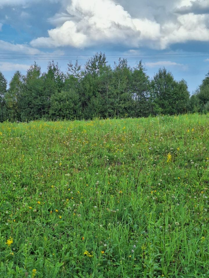 Działka rolna Golcowa. Zdjęcie 7