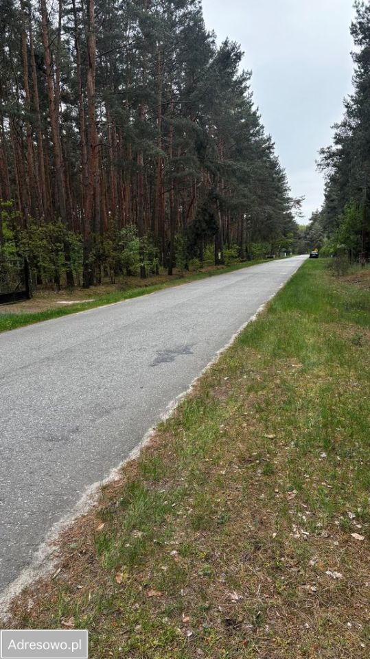 Działka leśna Łyszkowice. Zdjęcie 7