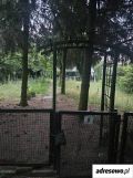 Działka rod Sosnowiec. Zdjęcie 4