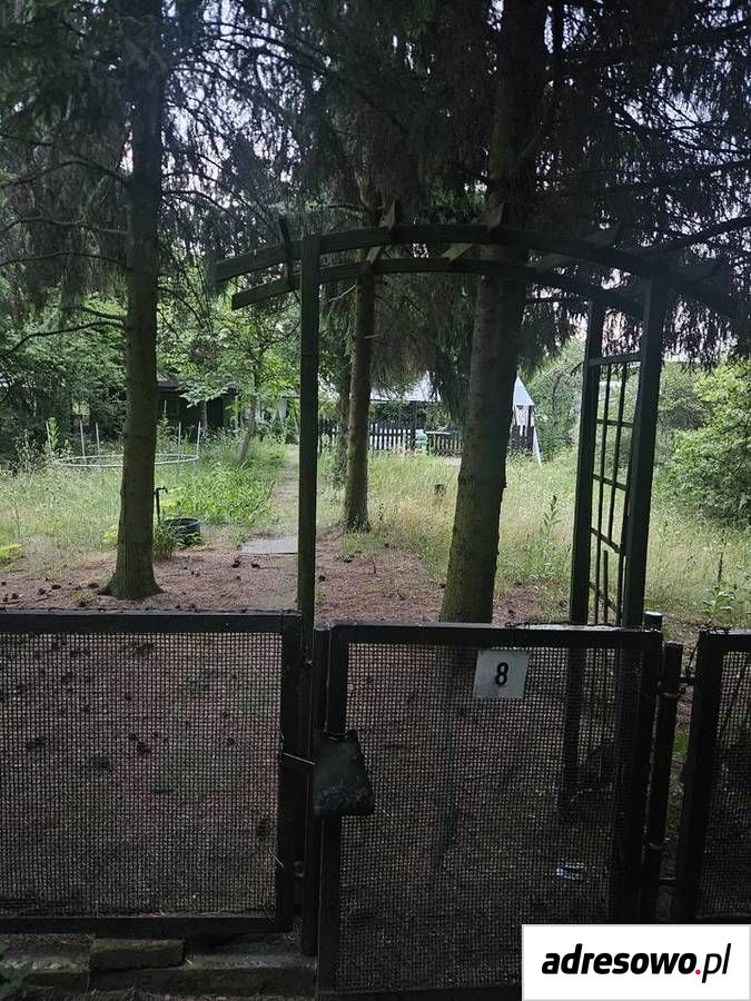 Działka rod Sosnowiec. Zdjęcie 5