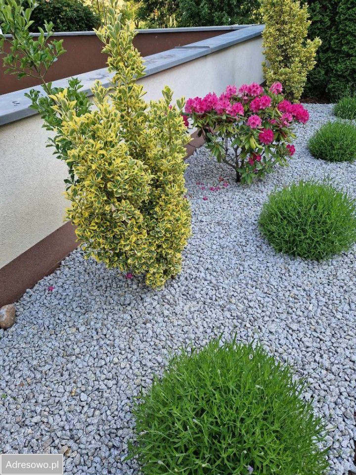 Mieszkanie 3-pokojowe Poznań Nowe Miasto, al. ks. Mieczysława Radziejewskiego. Zdjęcie 10