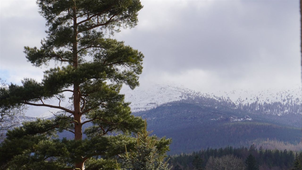 Działka inwestycyjna Szklarska Poręba Szklarska Poręba Górna, ul. Wesoła. Zdjęcie 8
