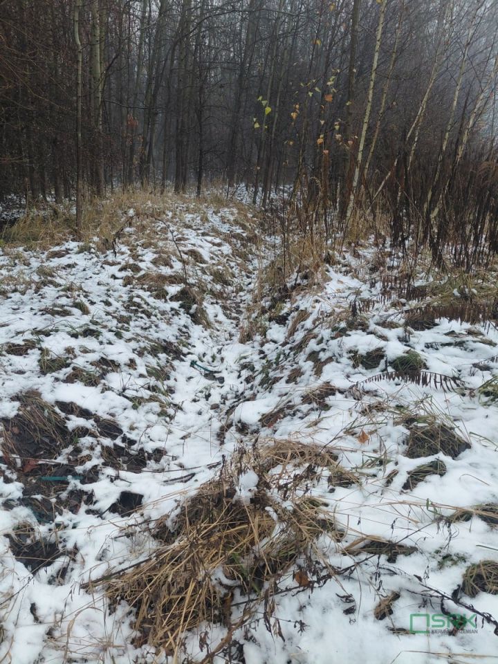 Działka inna Mysłowice Wesoła, ul. Marii Konopnickiej. Zdjęcie 3