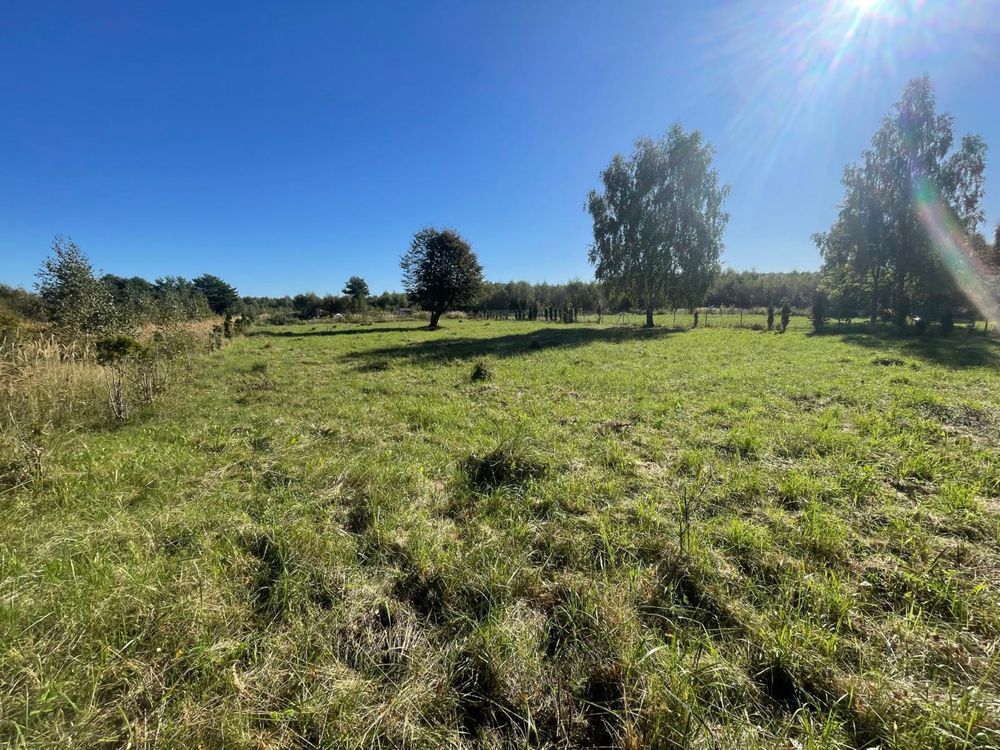 Działka budowlana Niewiastowo. Zdjęcie 3