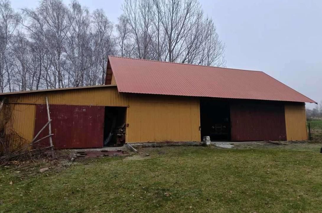 Działka siedliskowa Bachus. Zdjęcie 6