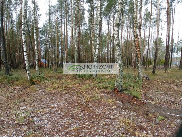 Działka Kamień. Zdjęcie 4