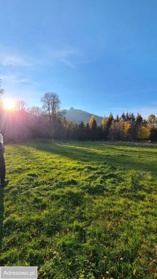 Działka budowlana Trzcińsko. Zdjęcie 3