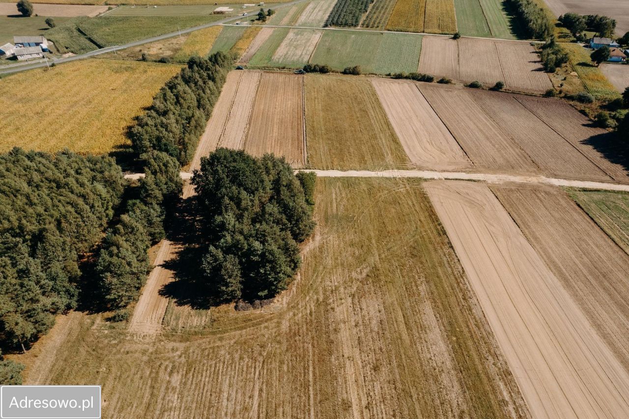 Działka budowlana Plebanki. Zdjęcie 2