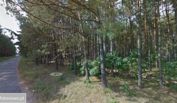 Działka leśna Osieczna