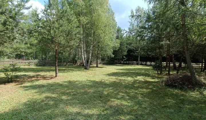 Działka rolna Rekownica