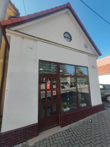 Lokal Jelenia Góra Cieplice Śląskie-Zdrój. Zdjęcie 9