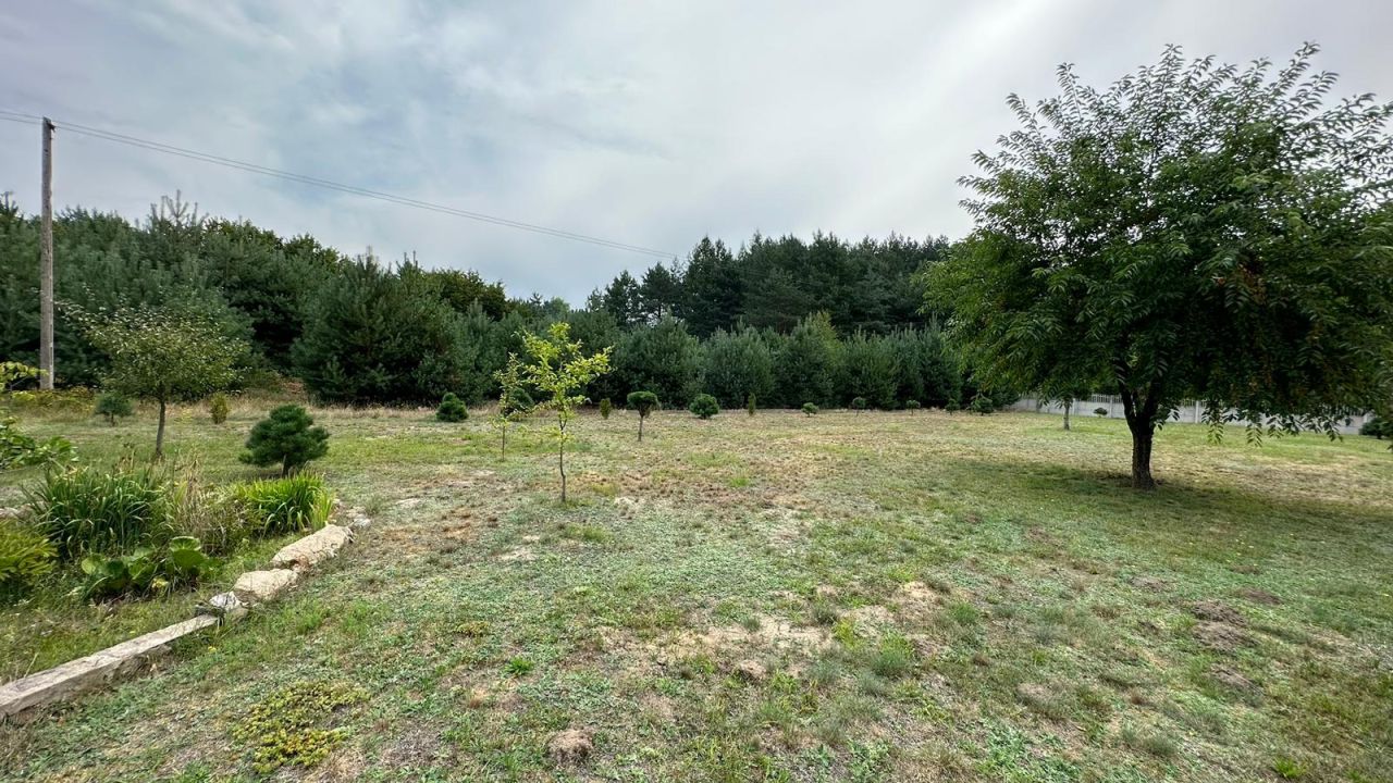 Działka budowlana Świerczyna. Zdjęcie 14